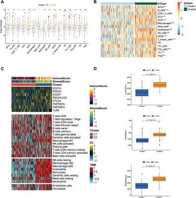 Immunogenic cell death (ICD) genes predict immunotherapy response and therapeutic targets in acute myeloid leukemia (AML)